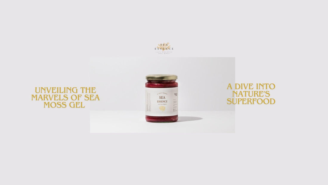 A Dive into Nature's Superfood Sea moss gel