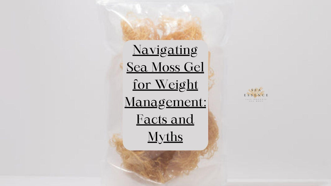 sea moss gel