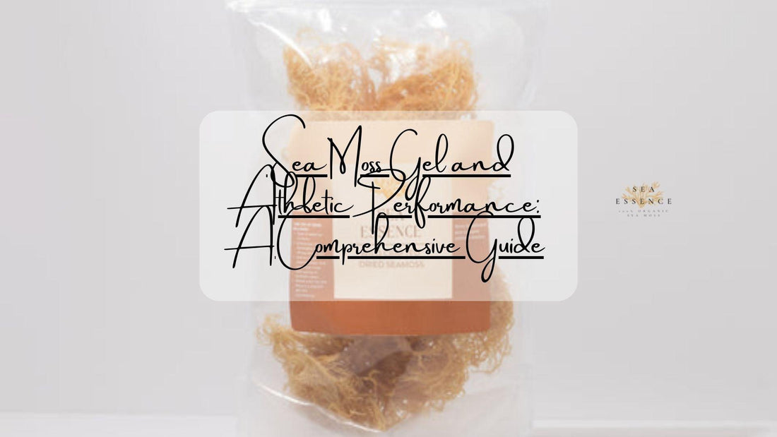 Sea moss gel