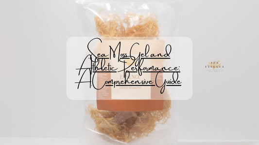 Sea moss gel