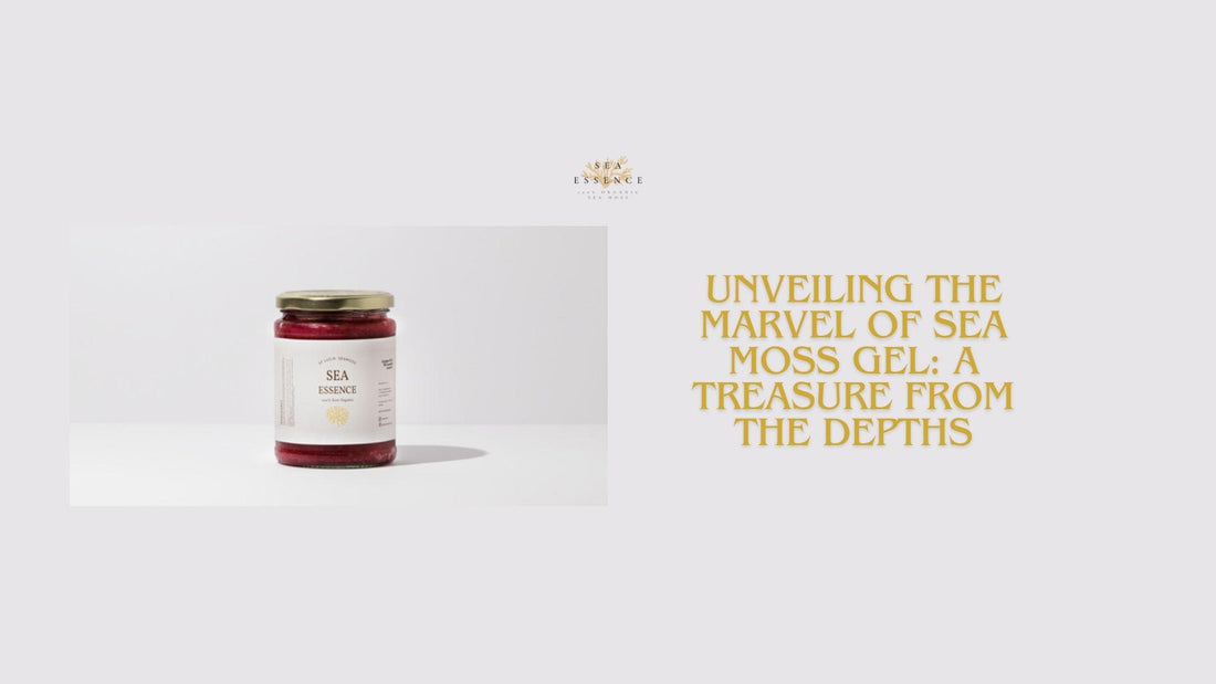 Sea moss gel